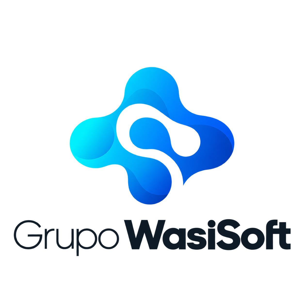 Grupo WasiSoft